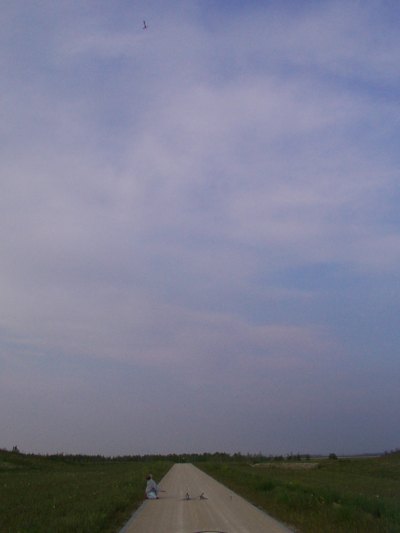 Wasserraketen-Flug