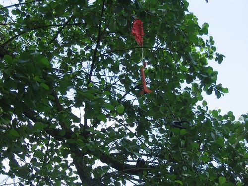 Rakete im Baum